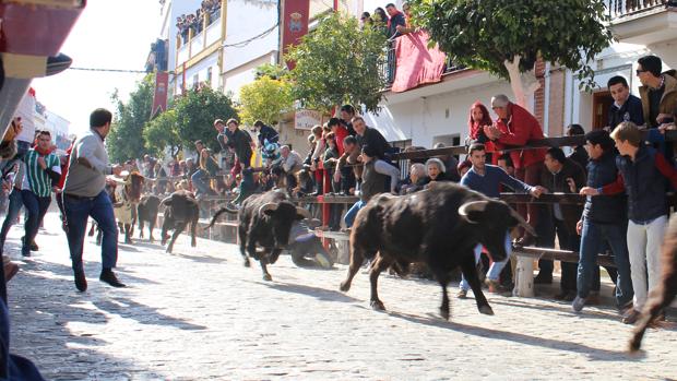 El mini San Fermín sevillano organizado por Morante de la Puebla se hace grande