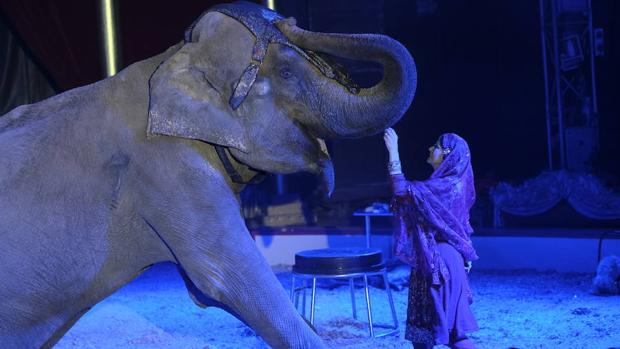 Imagen del Circo Quirós que sufrió un ataque de unos animalistas en plena función