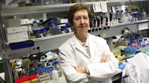 Margarita Salas, profesora de investigación del CSIC