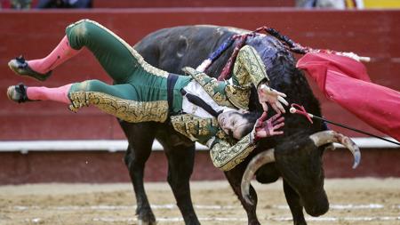 Juan José Padilla, en el momento del percance en Fallas