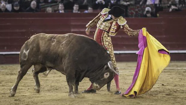 Andrés Roca Rey desató un clamor en el quite al último toro