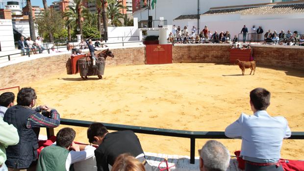 Los toros regresan a la Real Venta de Antequera