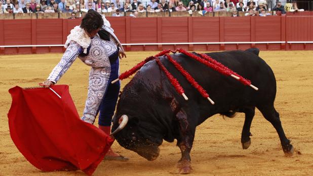 Morante de la Puebla, en un torero derechazo