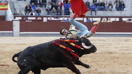 Fernando Flores, cogido en el sexto