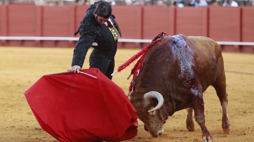 Todas las galerías de la Feria de Abril 2017: desde el ambiente en el Real a los festejos en la Maestranza