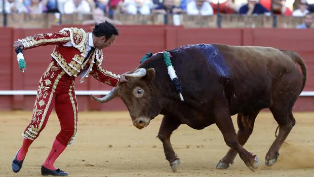 El toro aprieta a Antonio Ferrera en un par de banderillas
