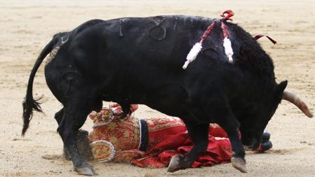 Francisco José Espada, en la arena tras enterrar un espadazo