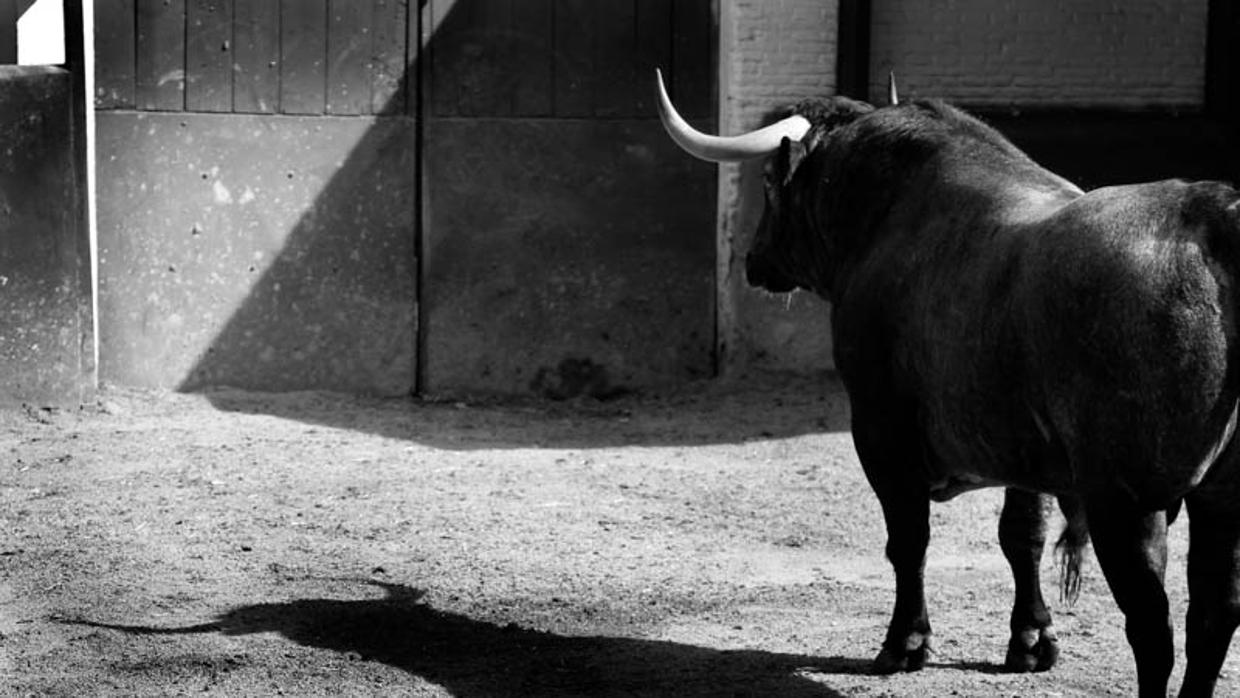 Antonio Ferrera, en un pase de pecho al cuarto toro