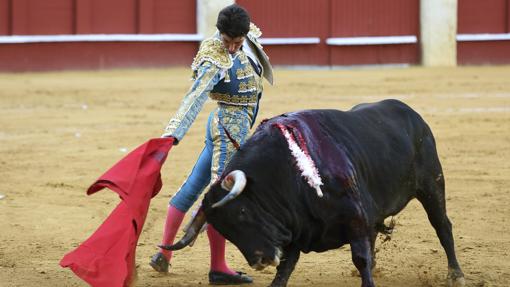 Cayetano en la plaza de toros de la Malagueta