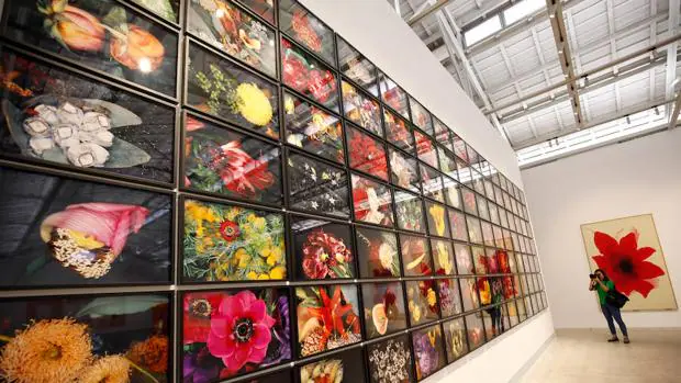 Hasta 350 obras en la colectiva inaugural de B. Gens, como el centenar largo de «flores» de Araki (en la imagen)