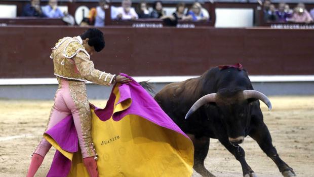 Baleares aprueba su ley de toros que prohíbe la muerte animal