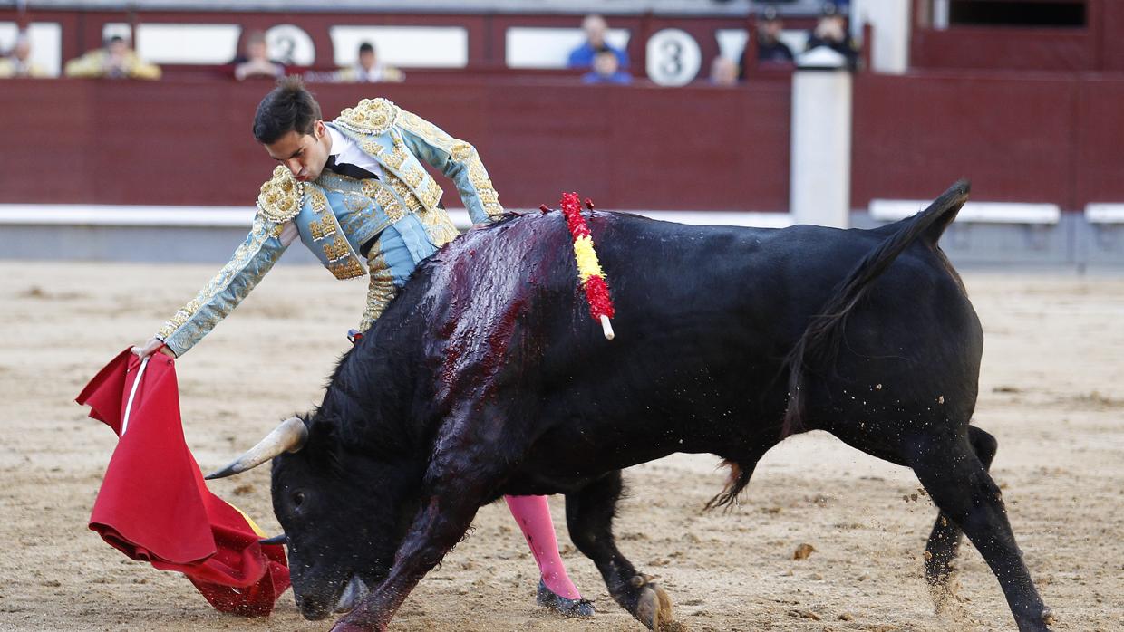 Fernando Flores, este año en Las Ventas