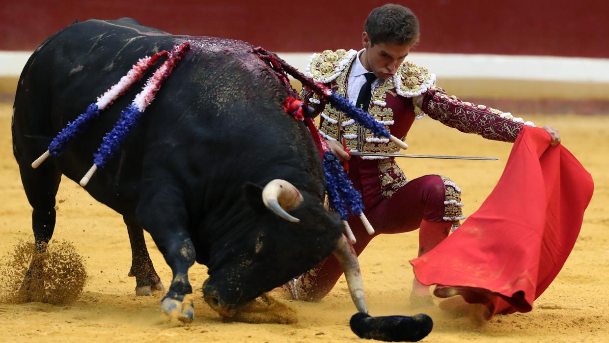 Ginés Marín, en un torero muletazo rodilla en tierra