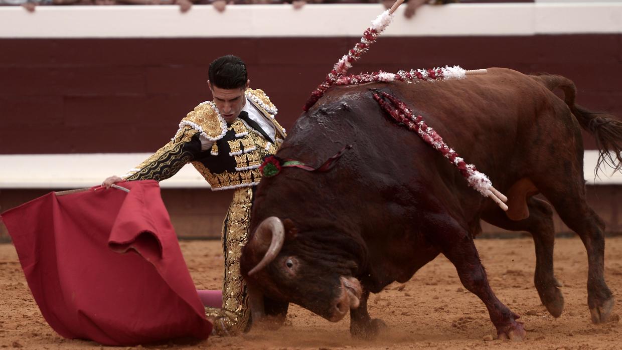 Alejandro Talavante, de rodillas