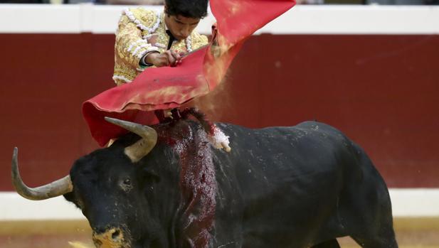 Triunfal debut de los toros del Parralejo en San Sebastián