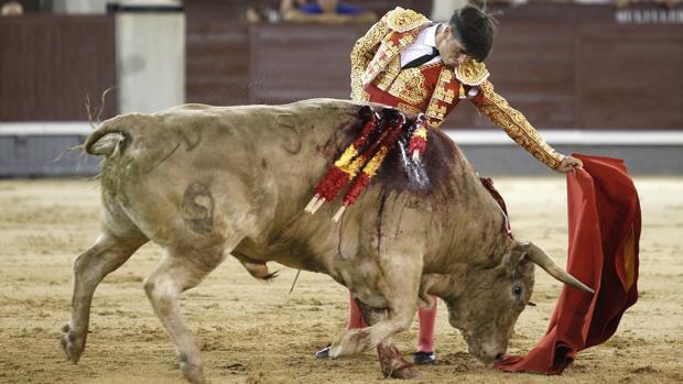 Adrián Henche destaca en Las Ventas