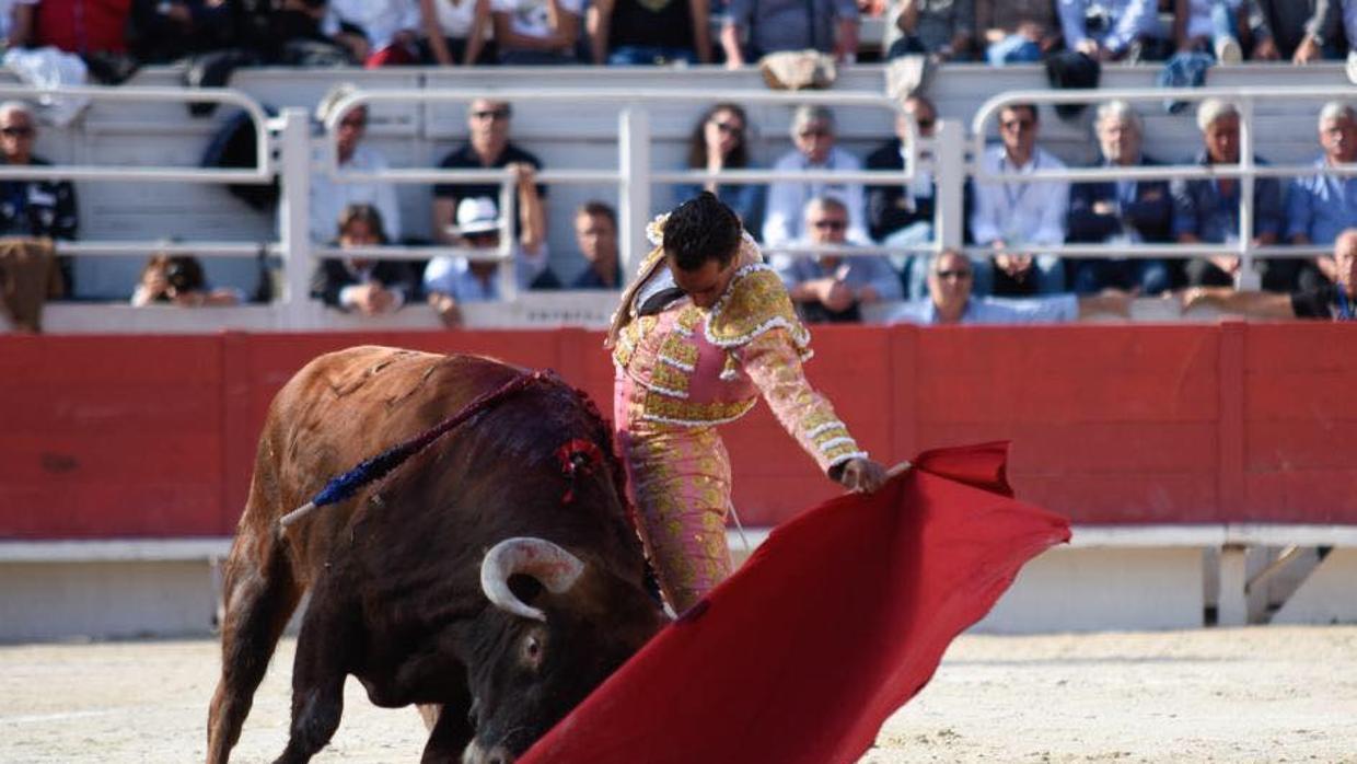 Iván Fandiño y la pureza de un natural, en la plaza de Arles