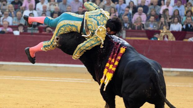 Parte médico de la grave cornada a Cayetano Rivera Ordóñez en la Feria del Pilar