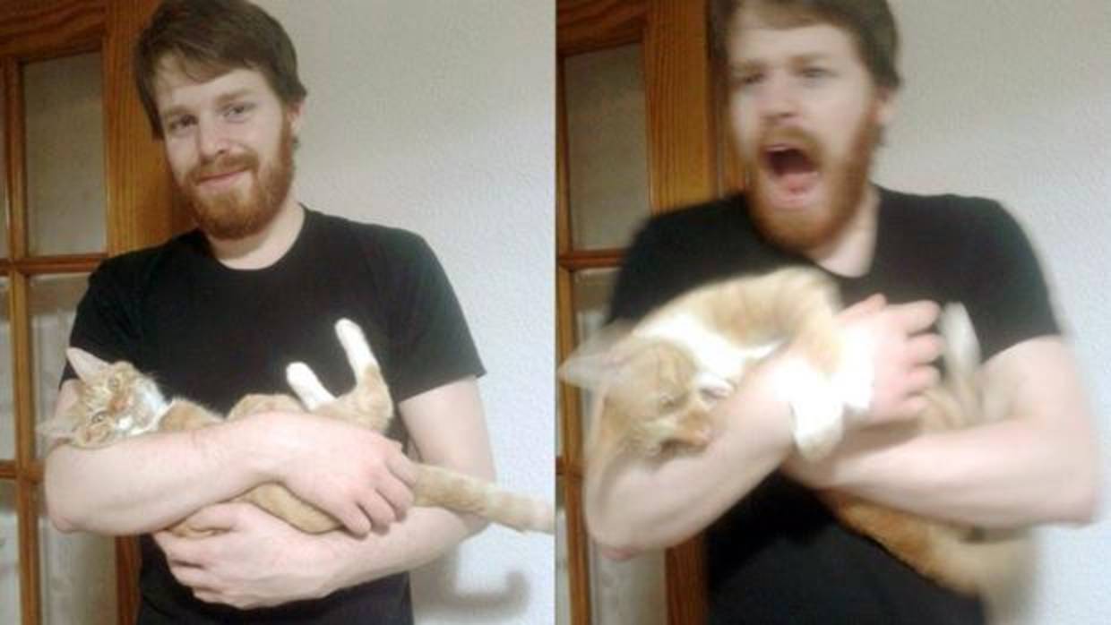 Todo el mundo ama los «memes» de gatos, menos Jan Mathews, a tenor de este «selfie»
