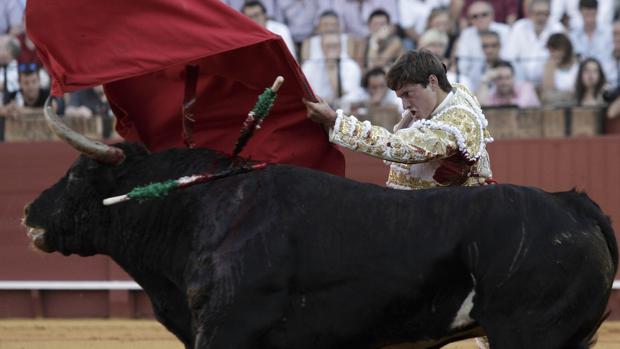 Lama de Góngora, apoderado por Guillermo García Palacios