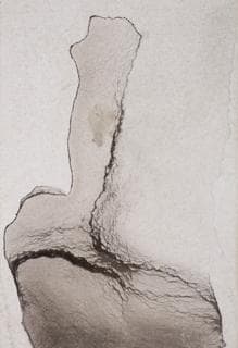 «Mota de mármol» (1856)