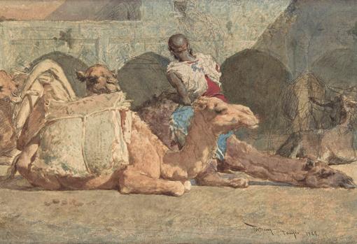 «Camellos en reposo», de Mariano Fortuny