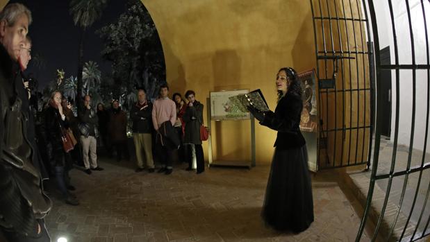 Un viaje musical por el Alcázar histórico de Sevilla