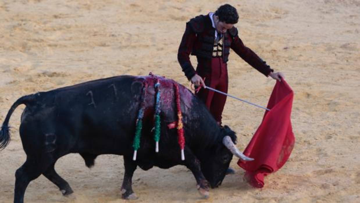 El torero Oliva Soto