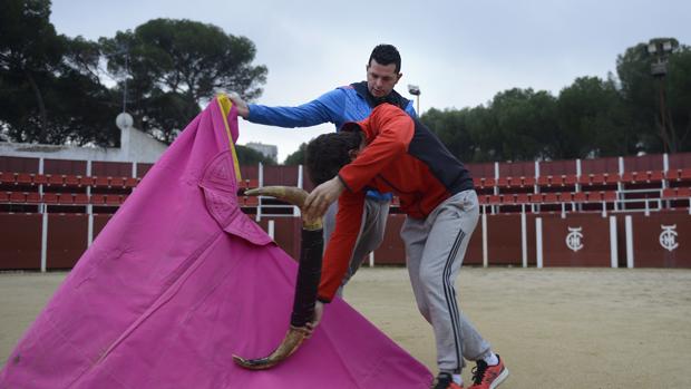 «La conjura totalitaria» de Carmena y los animalistas contra los toros