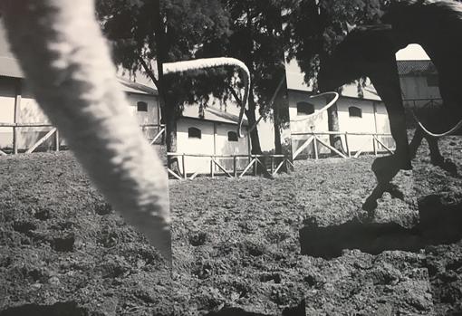 «A Well Known Foreign Echo»