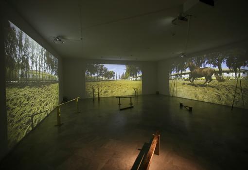 «Tro tro». Montaje para el CAAC