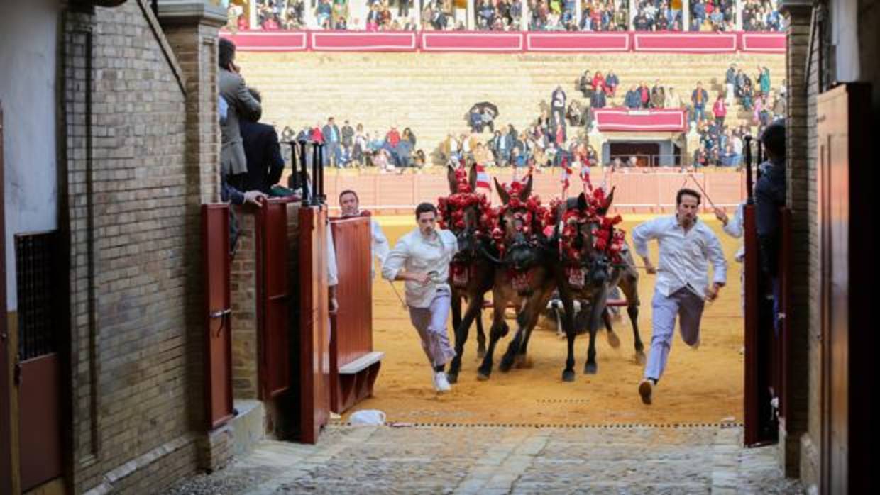 Avance de los carteles de la temporada taurina en Sevilla 2018