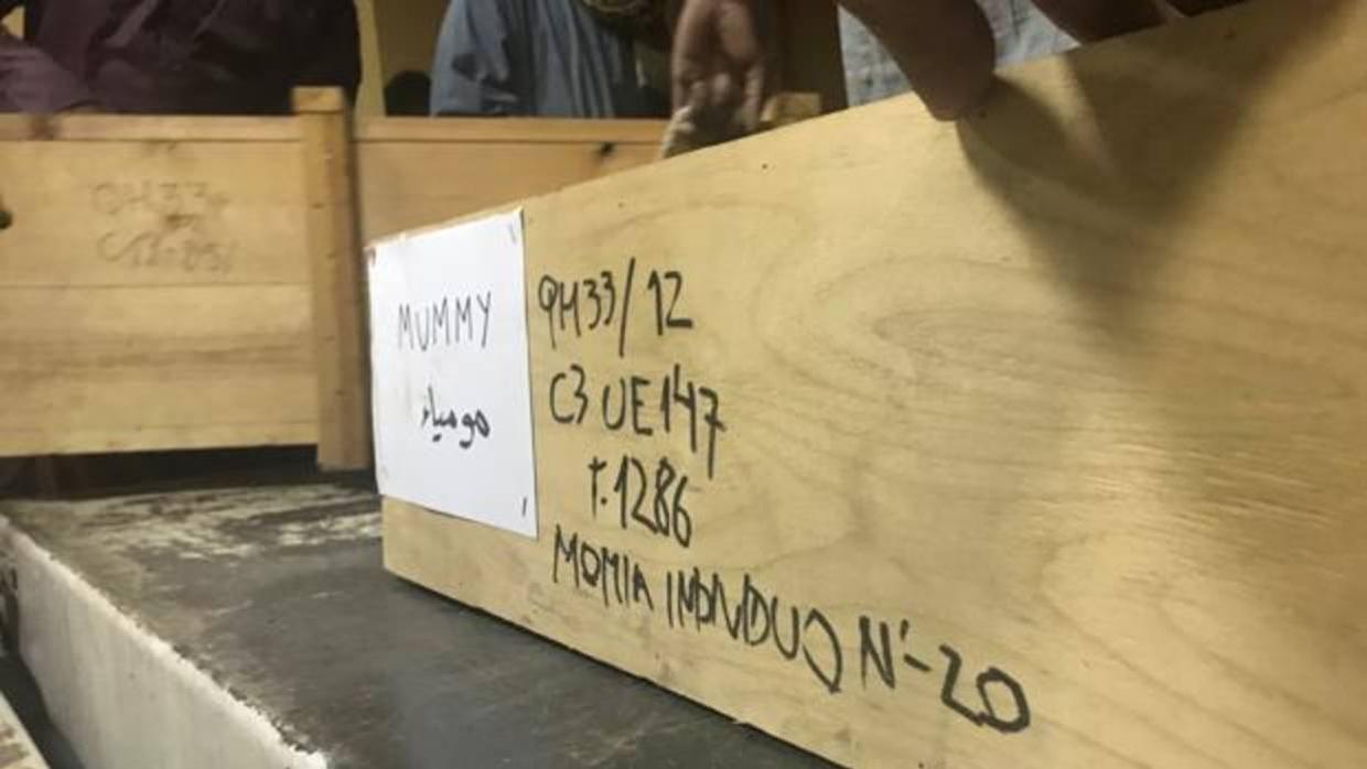 Una de las momias confinada en una caja de madera y que será trasladada al Hospital de Asuán, en Egipto, para que le realicen un TAC