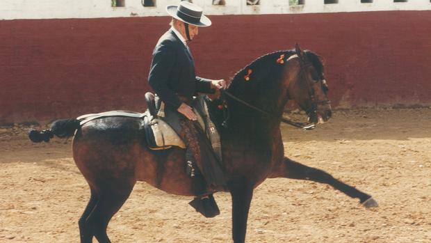 Cabriolas de Ángel Peralta, reflexiones para la vida