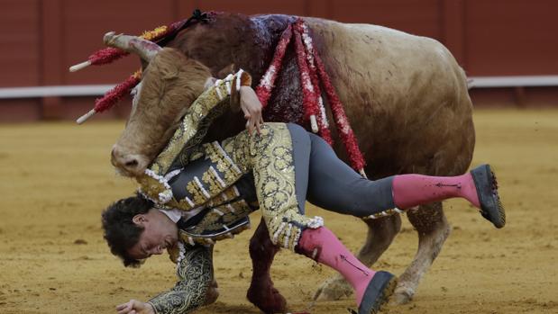 Román permanece en la UCI por su cornada en Sevilla