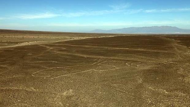Descubren más de 50 misteriosas figuras gigantes en el desierto de Nazca