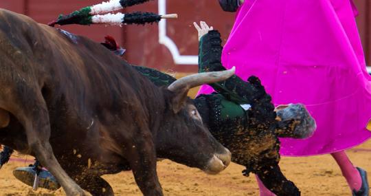 Curro Javier se libró de milagro de la cornada