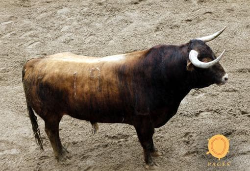 Seis toros de Matilla para la primera corrida de relumbrón de la Feria de Abril de Sevilla 2018