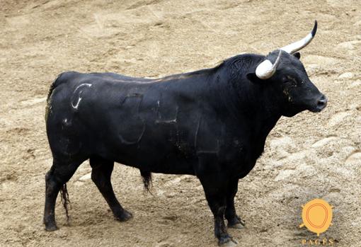 Seis toros de Matilla para la primera corrida de relumbrón de la Feria de Abril de Sevilla 2018