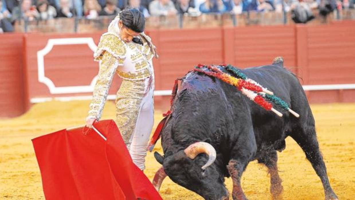 Alejandro Talavante ayer, de blanco y oro, en la plaza de toros de la Real Maestranza