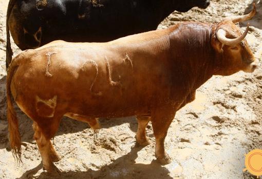 Feria de Abril de Sevilla 2018: Seis toros de Cuvillo para la novena de abono