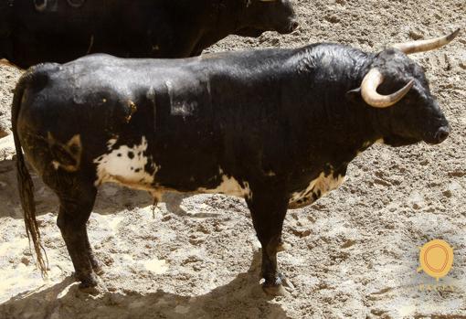 Feria de Abril de Sevilla 2018: Seis toros de Cuvillo para la novena de abono