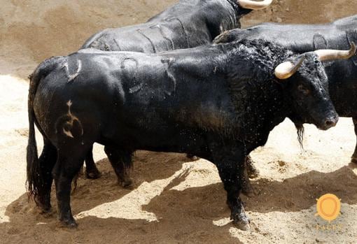 Feria de Abril de Sevilla 2018: Seis toros de Fuente Ymbro para Padilla, El Cid y Fandi