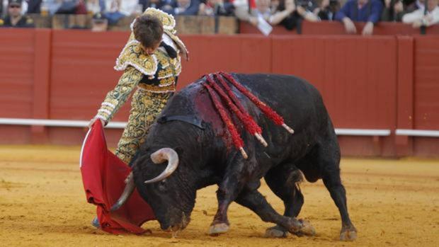 El Juli y «Orgullito» copan los premios taurinos de la Real Maestranza