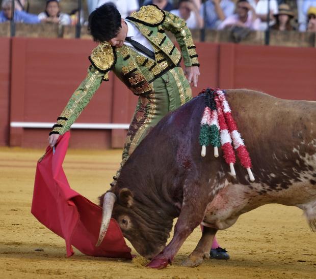 Solitaria oreja a David Salvador en una buena novillada de Rocío de la Cámara en Sevilla