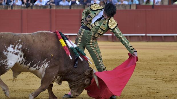 David Salvador puntúa con un excelente encierro de Rocío de la Cámara