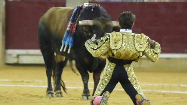 La adjudicación de la plaza de toros de Zaragoza, paralizada por dos recursos ante el Tribunal de Contratos Públicos