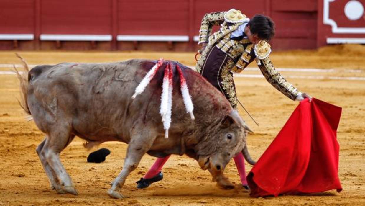 Roca Rey en el coso jerezano