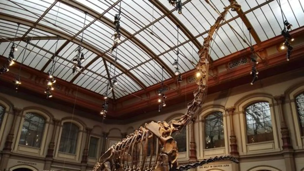 El Brachiosaurus «Isoldo», del Museo de Historia Natural de Berlín