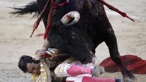 Paco Ureña, hospitalizado tras ser cogido en el campo